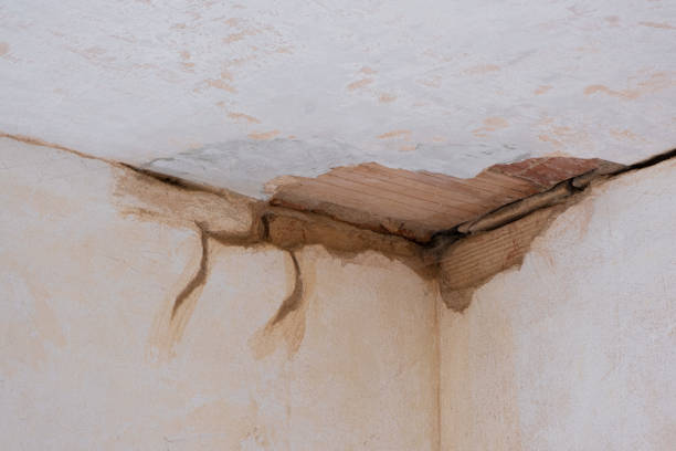 Best Fire Damage Restoration  in Momence, IL