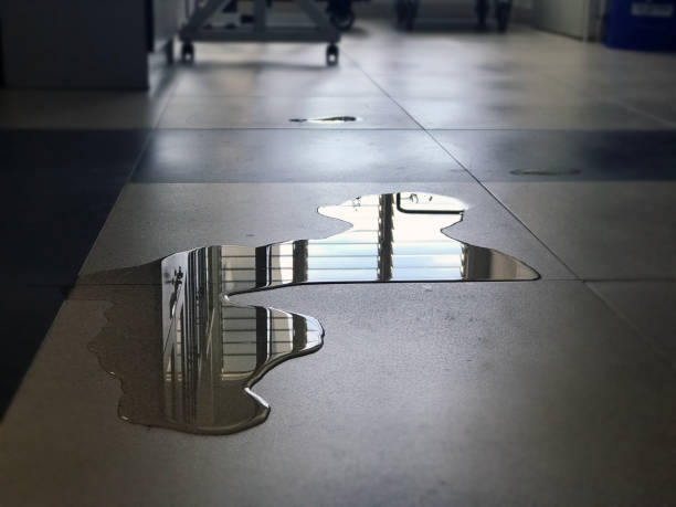 Best Carpet water damage restoration  in Momence, IL