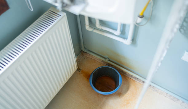 Best Fire Damage Restoration  in Momence, IL