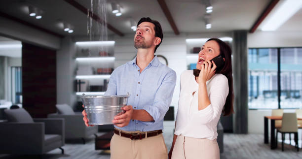 Best Ceiling water damage repair  in Momence, IL