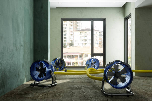 Best 24-hour water damage restoration  in Momence, IL