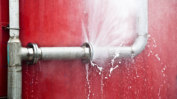 Best Sewage cleanup and water damage restoration  in Momence, IL